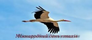 Міжнародний день птахів