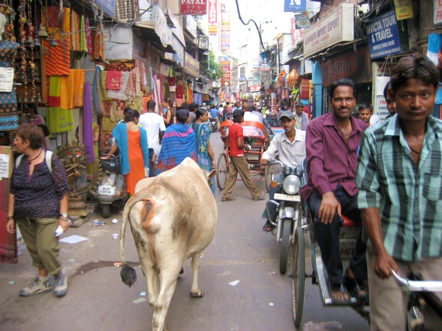 Main Bazar Road