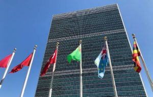 Організація Об'єднаних Націй