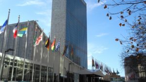 Організація Об'єднаних Націй